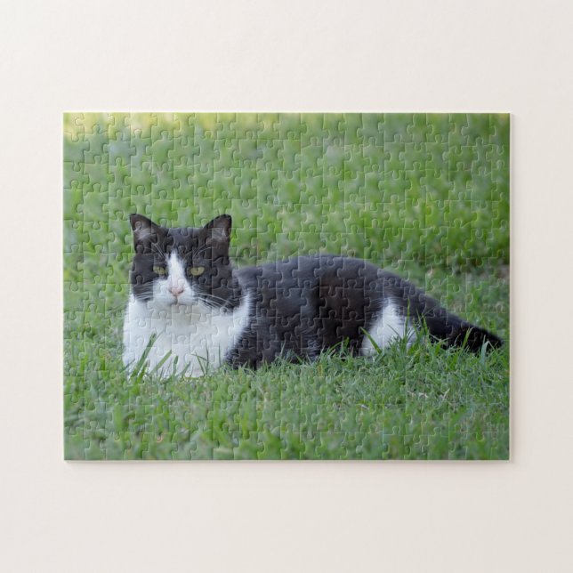 Pretty Black and White Tuxedo Cat Photo Jigsaw Puzzle (Horizontal)