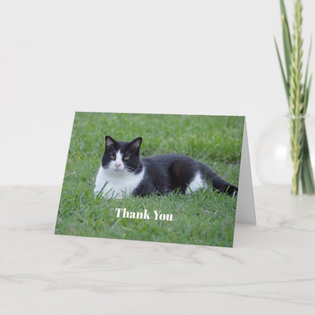 Pretty Black and White Tuxedo Cat Photo Thank You Card (Front)