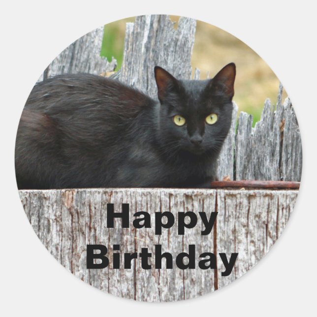 Pretty Black Cat Log Photo Birthday Classic Round Sticker (Front)