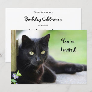 Pretty Black Cat Photo Birthday Invitation