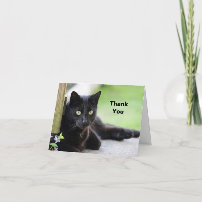 Pretty Black Cat Photo Thank You Card (Front)