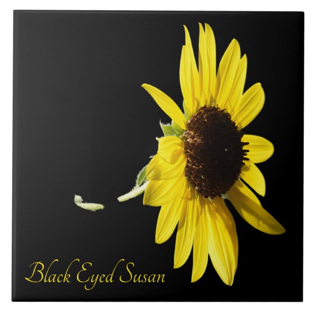 Pretty black eyed susan on black tile (Front)