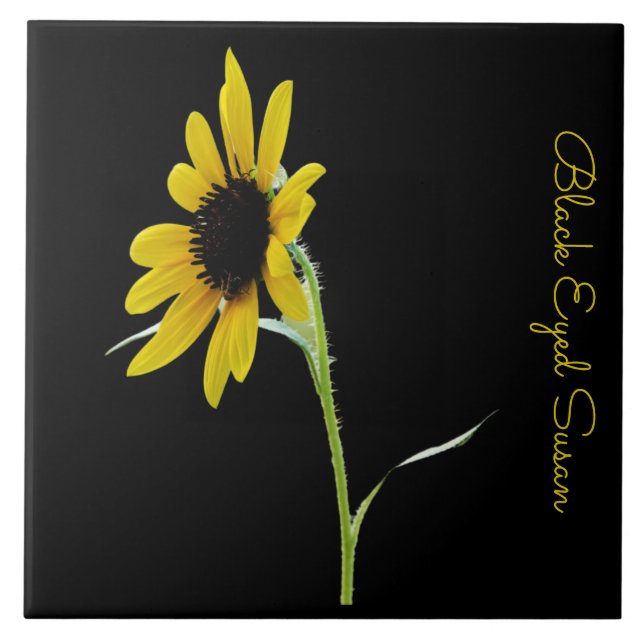 Pretty black eyed susan on black tile (Front)