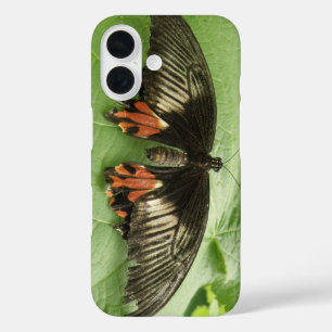 Pretty Black Red and Gold Butterfly iPhone 16 Case