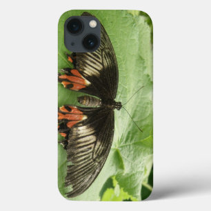 Pretty Black Red and Gold Butterfly iPad Mini Case