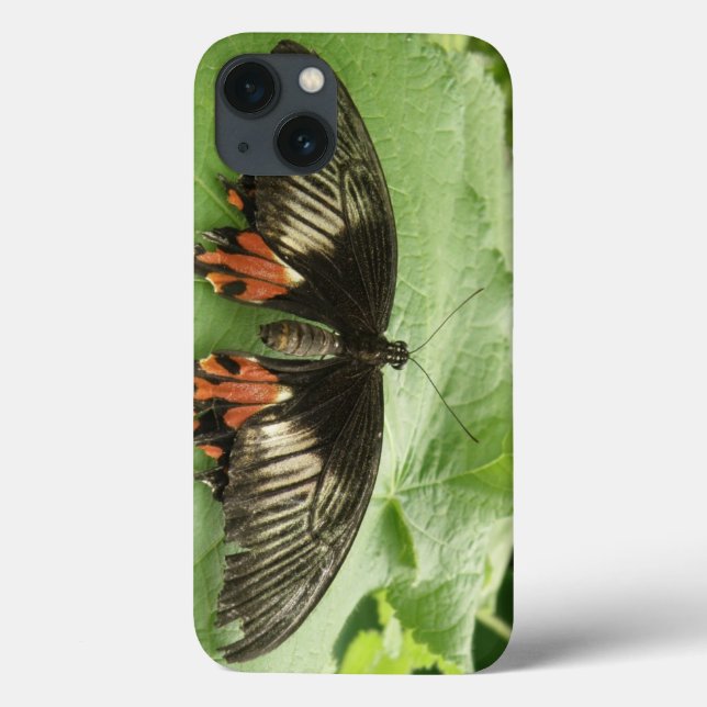 Pretty Black Red and Gold Butterfly iPad Mini Case (Back)