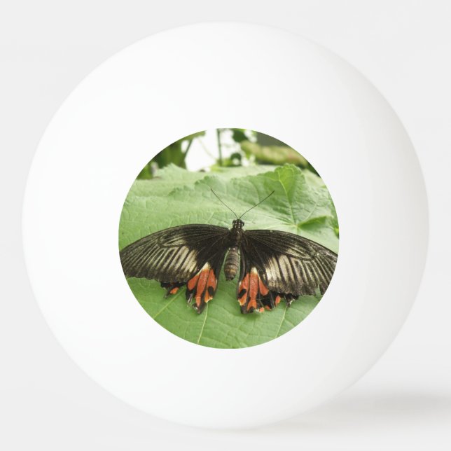 Pretty Black Red and Gold Butterfly Ping Pong Ball (Front)
