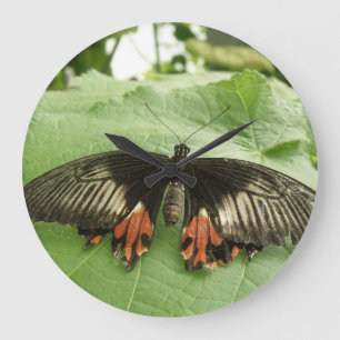 Pretty Black Red and Gold Butterfly Wall Clock