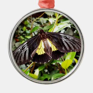 pretty black yellow butterfly photograph metal tree decoration