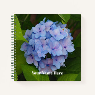 Pretty Blue and Pink Hydrangea Floral Photo Notebook