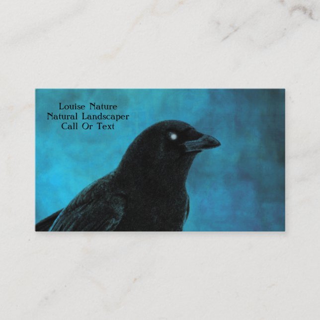 Pretty Blue And Raven Business Card (Front)