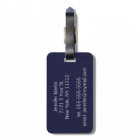 Pretty Blue and Teal Agate Geode Stone on Blue