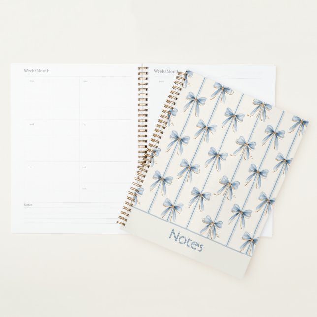 Pretty Blue Bows & Stripes Planner (Display)