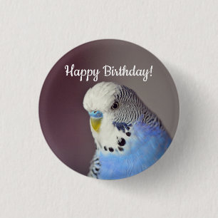 Pretty Blue Budgie Photo Birthday 3 Cm Round Badge