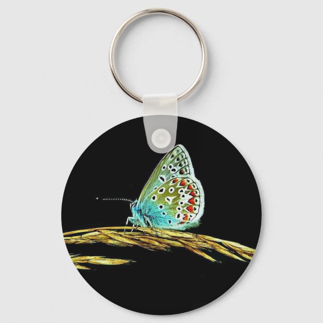 Pretty Blue Butterfly Grass Photo Key Ring (Front)