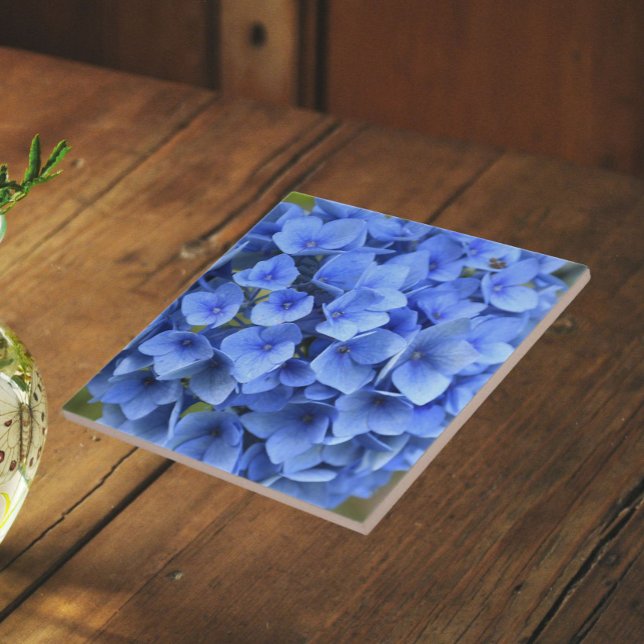Pretty Blue Hydrangea Bloom Floral Tile (In Situ)