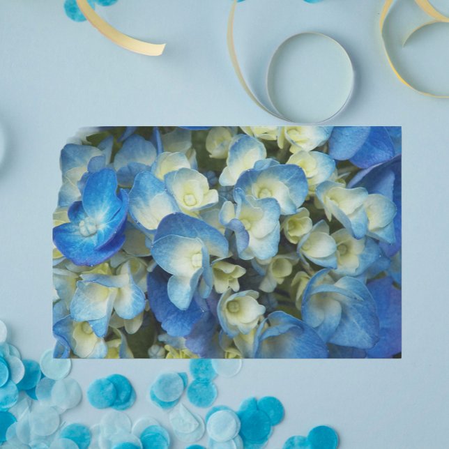 Pretty Blue Hydrangea Floral Tissue Paper (In Situ)