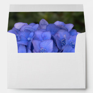 Pretty Blue Hydrangea Wedding Envelopes