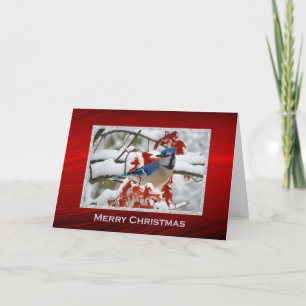 Pretty Blue Jay Snow Photo Christmas Holiday Card