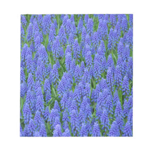 Pretty blue muscari flowers notepad