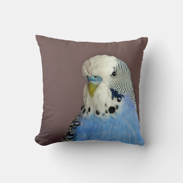 Pretty Blue Parakeet Photo Cushion (Front)