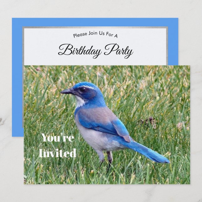 Pretty Blue Scrub Jay Bird Photo Birthday Invitation (Front/Back)