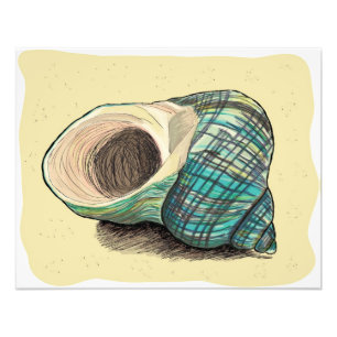 Pretty Blue Shell Photo Print