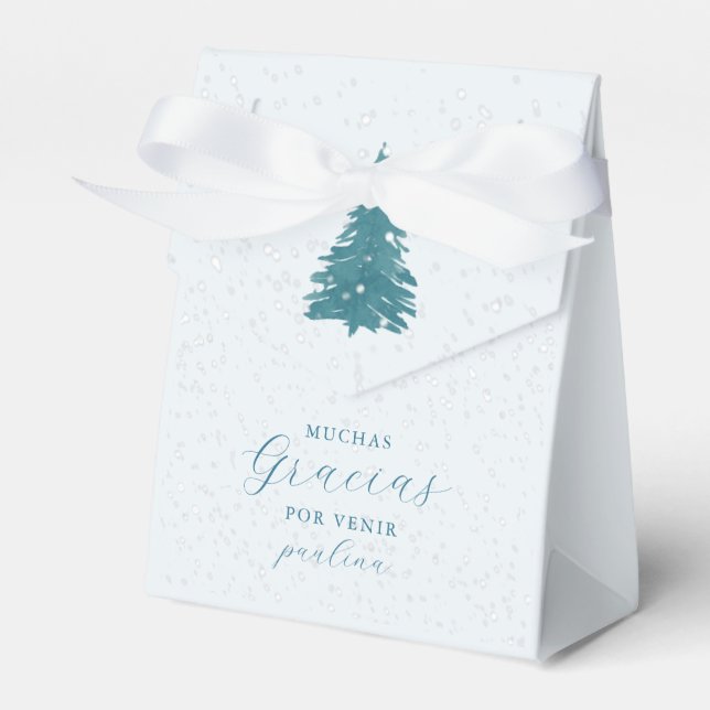 Pretty Blue Winter Gracias Thank You Quinceanera Favour Box (Front Side)