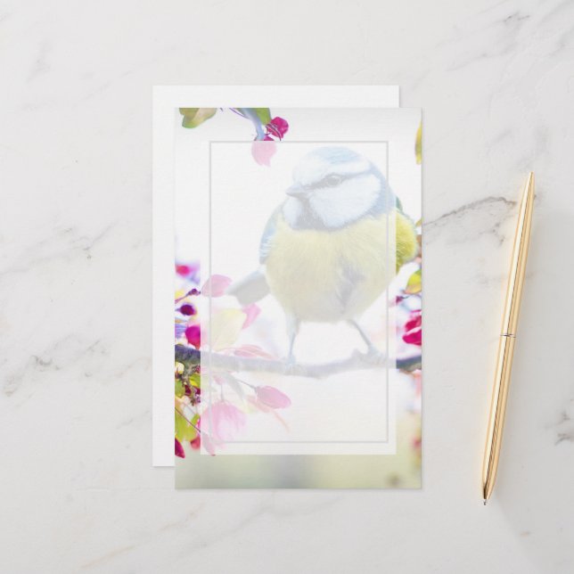 Pretty Blue & Yellow Bird on a Branch Photograph (Front/Back In Situ)