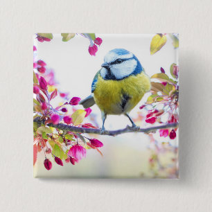 Pretty Blue & Yellow Bird on a Branch Photograph 15 Cm Square Badge