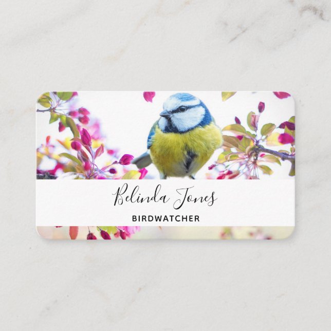 Pretty Blue & Yellow Bird on a Branch Photograph Business Card (Front)