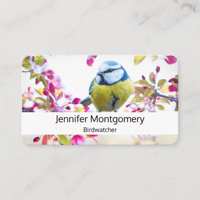 Pretty Blue & Yellow Bird on a Branch Photograph Business Card (Front)