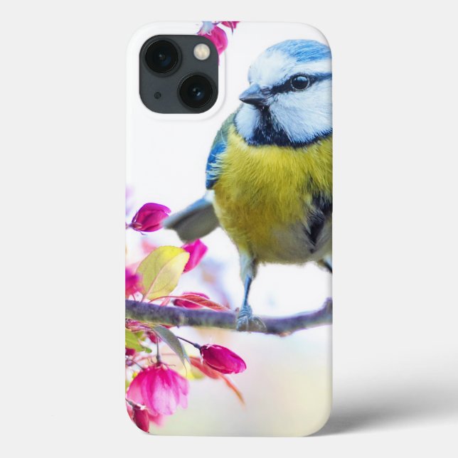 Pretty Blue & Yellow Bird on a Branch Photograph Case-Mate iPhone Case (Back)