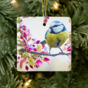 Pretty Blue & Yellow Bird on a Branch Photograph Ceramic Ornament