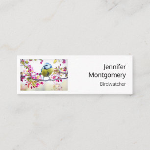 Pretty Blue & Yellow Bird on a Branch Photograph Mini Business Card