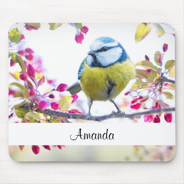 Pretty Blue & Yellow Bird on a Branch Photograph Mouse Mat (Front)