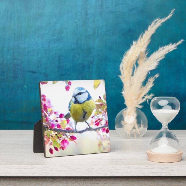 Pretty Blue & Yellow Bird on a Branch Photograph Plaque (Insitu)