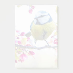 Pretty Blue & Yellow Bird on a Branch Photograph Post-it Notes