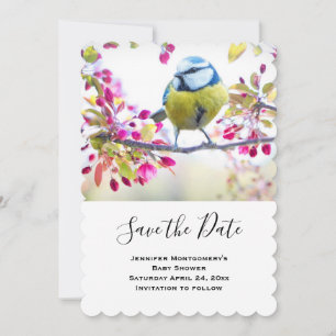 Pretty Blue & Yellow Bird on a Branch Photograph Save The Date