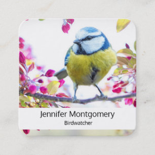 Pretty Blue & Yellow Bird on a Branch Photograph Square Business Card