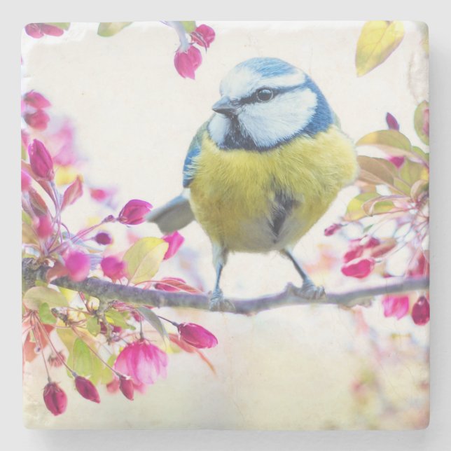 Pretty Blue & Yellow Bird on a Branch Photograph Stone Coaster (Front)