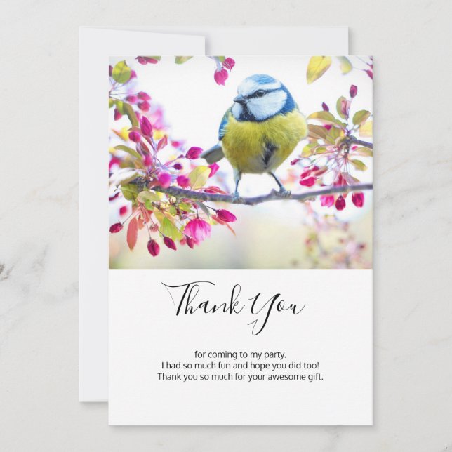 Pretty Blue & Yellow Bird on a Branch Photograph Thank You Card (Front)