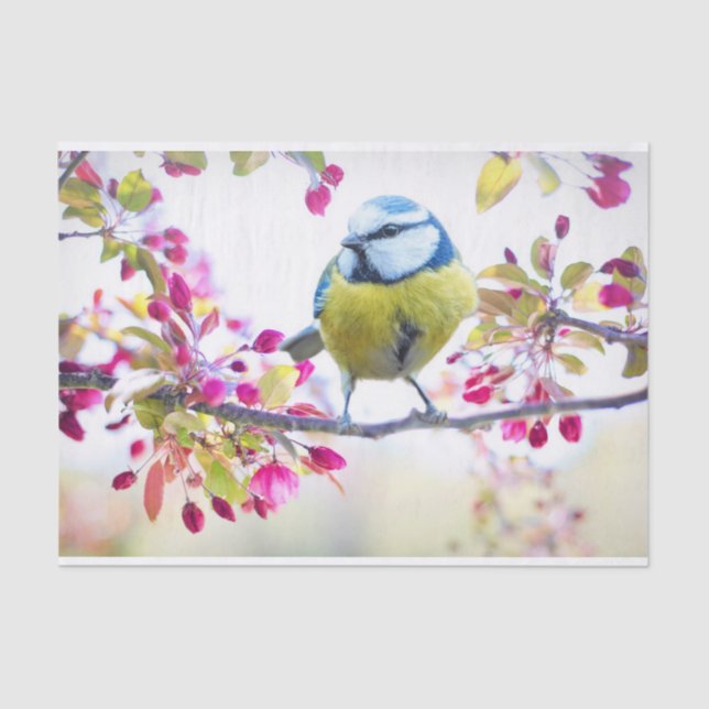 Pretty Blue & Yellow Bird on a Branch Photograph Tissue Paper (Front)