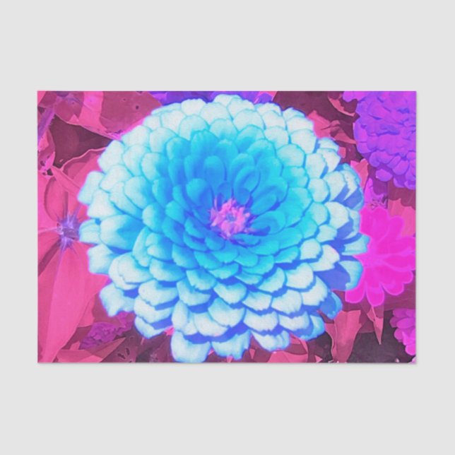 Pretty Blue Zinnia in the Purple Summer Garden Tissue Paper (Front)