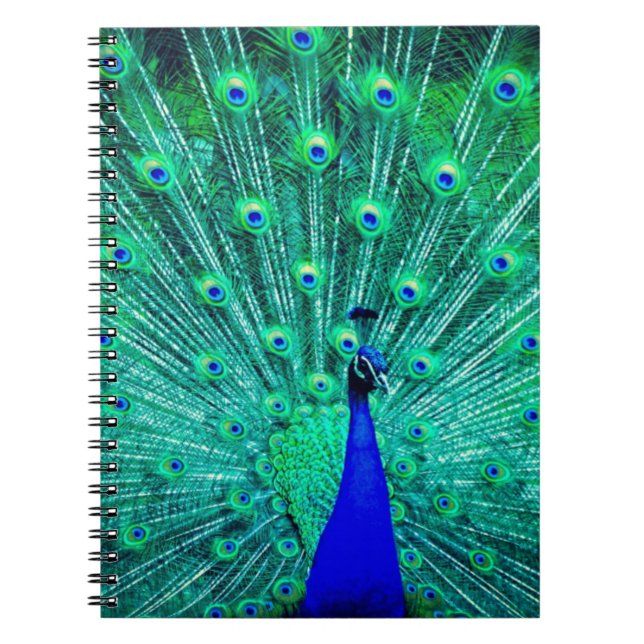 Pretty BlueTeal Peacock bird Modern trendy pattern Notebook (Front)