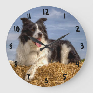 Pretty Border Collie on Straw Bale Clock