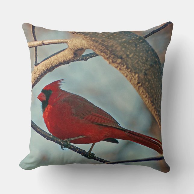 Pretty Boy Male Cardinal Cushion (Front)