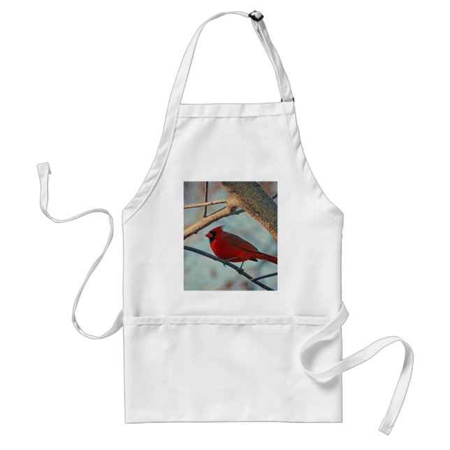 Pretty Boy Male Cardinal Standard Apron (Front)