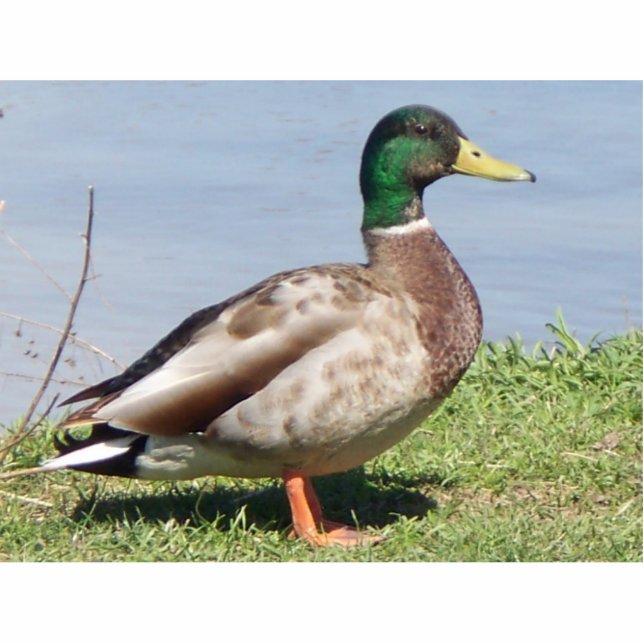 Pretty Boy Standing Photo Sculpture (Front)