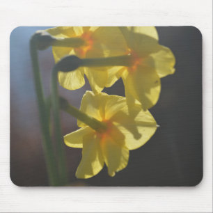 Pretty bright colour yellow daffodil flower mouse mat
